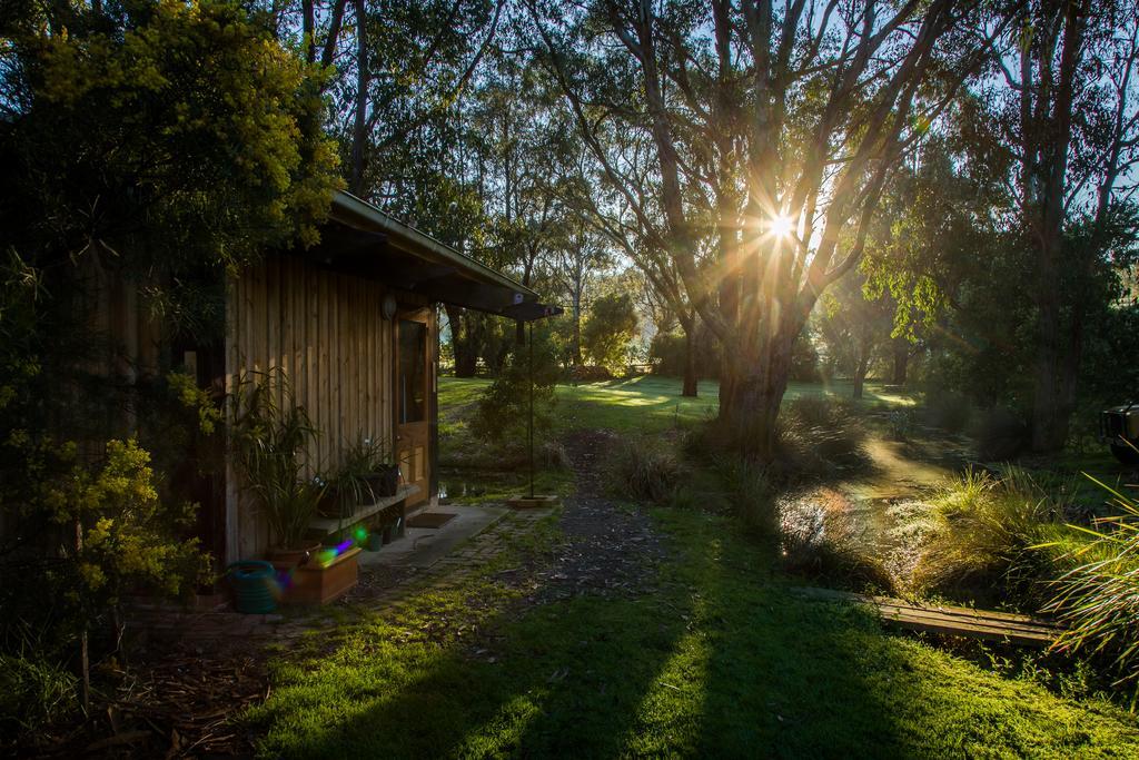 Villa The Burrow At Wombat Bend à Dixons Creek Extérieur photo