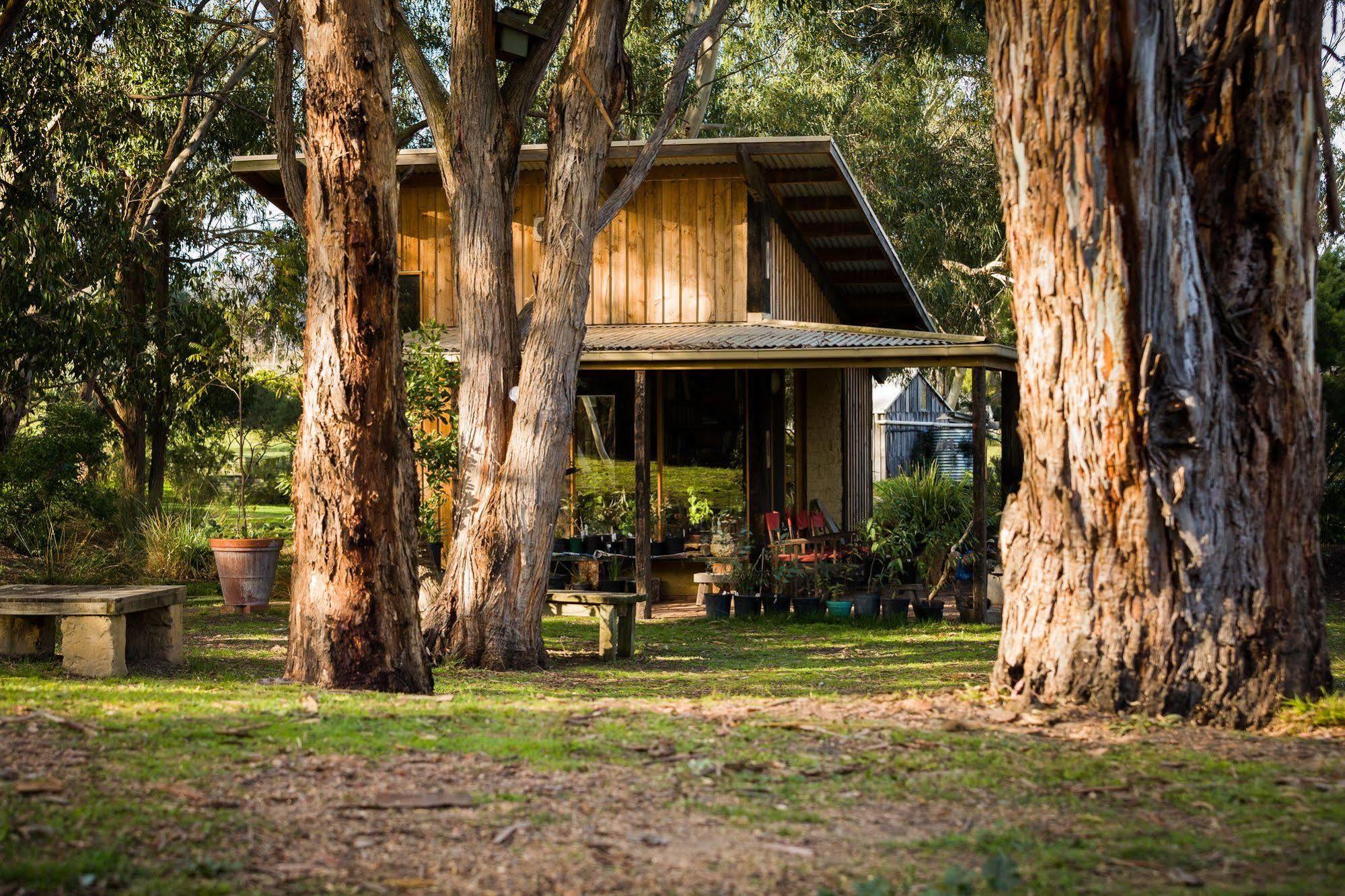 Villa The Burrow At Wombat Bend à Dixons Creek Extérieur photo
