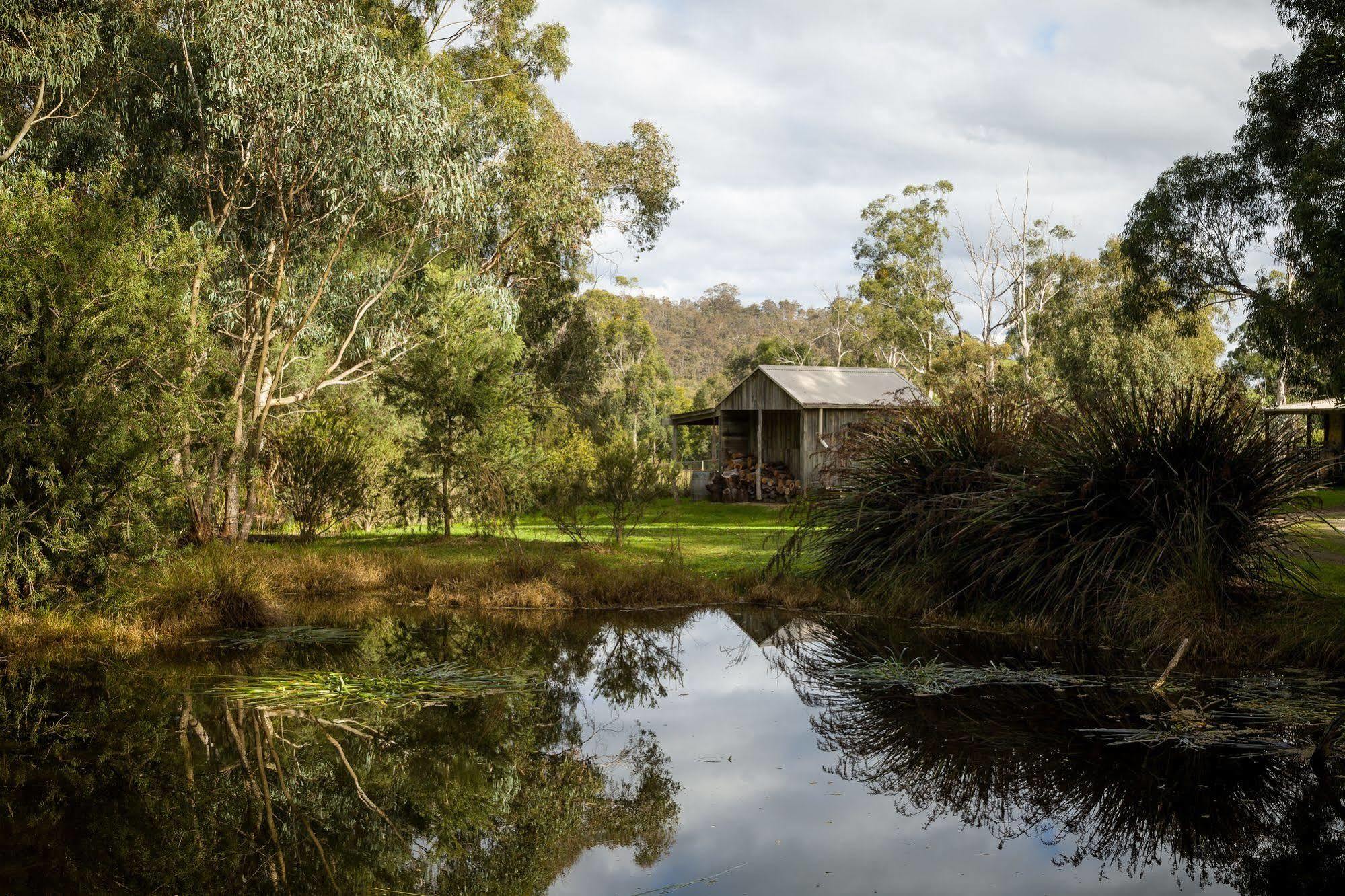 Villa The Burrow At Wombat Bend à Dixons Creek Extérieur photo
