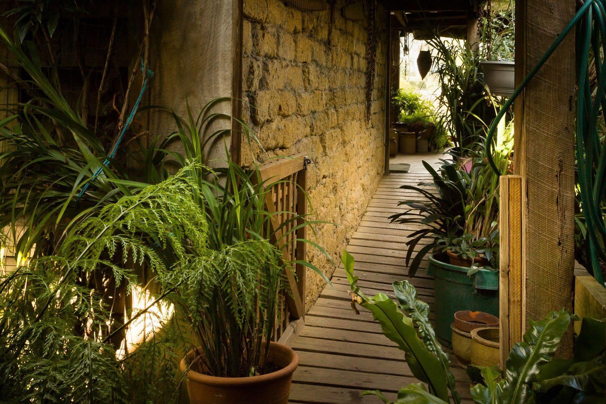 Villa The Burrow At Wombat Bend à Dixons Creek Extérieur photo